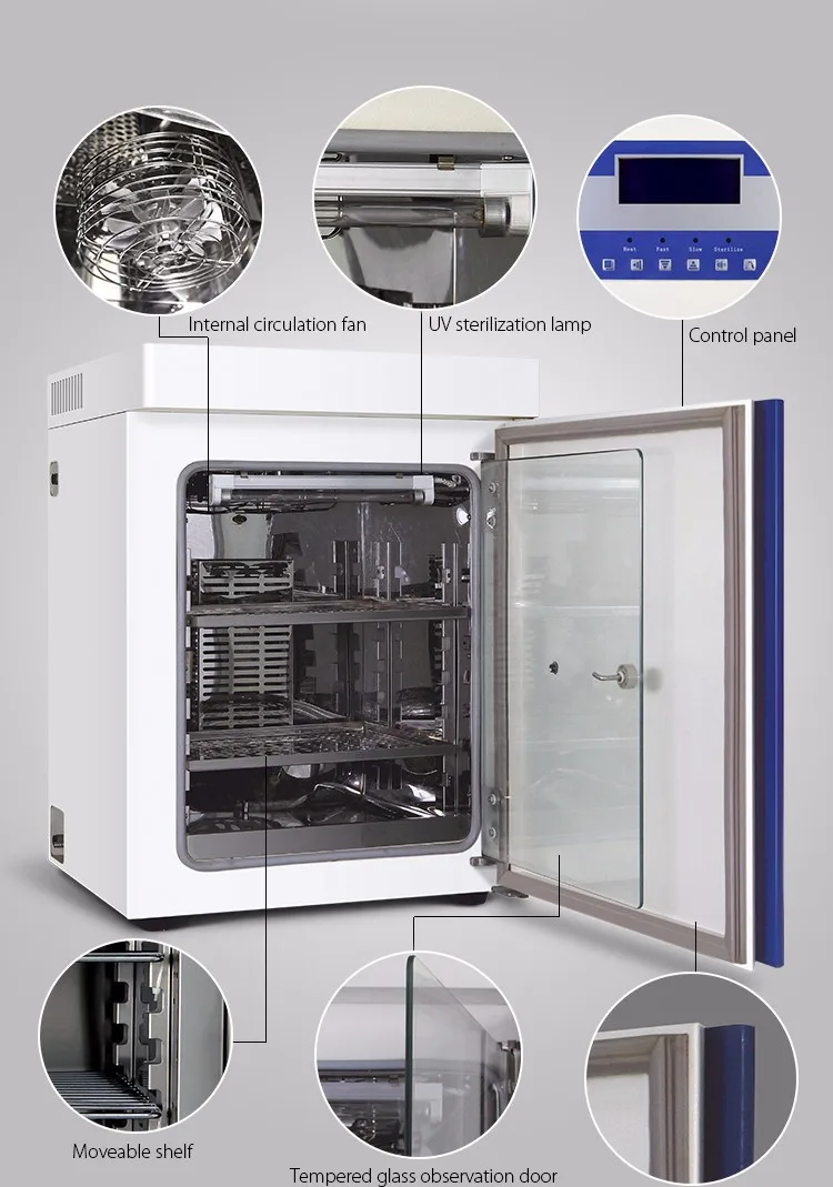 Laboratory CO2 Incubator for B – Incubator Co2 Lab recenzja i cena