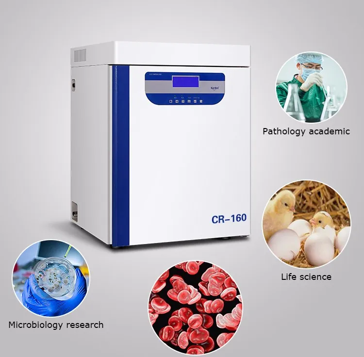 Laboratory CO2 Incubator for B – Incubator Co2 Lab recenzja i cena