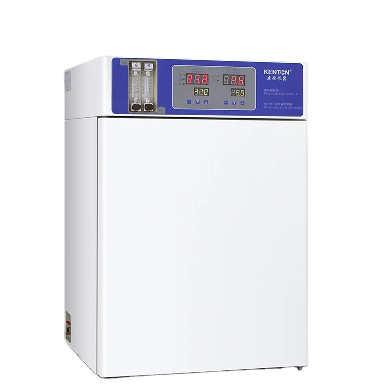 Laboratory CO2 Incubator for B – Incubator Co2 Lab recenzja i cena