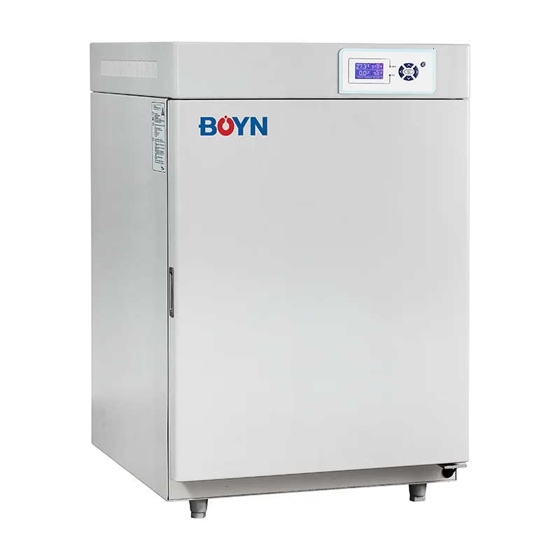 Digital CO2 Incubator for Cell – Incubator Co2 Lab recenzja i cena