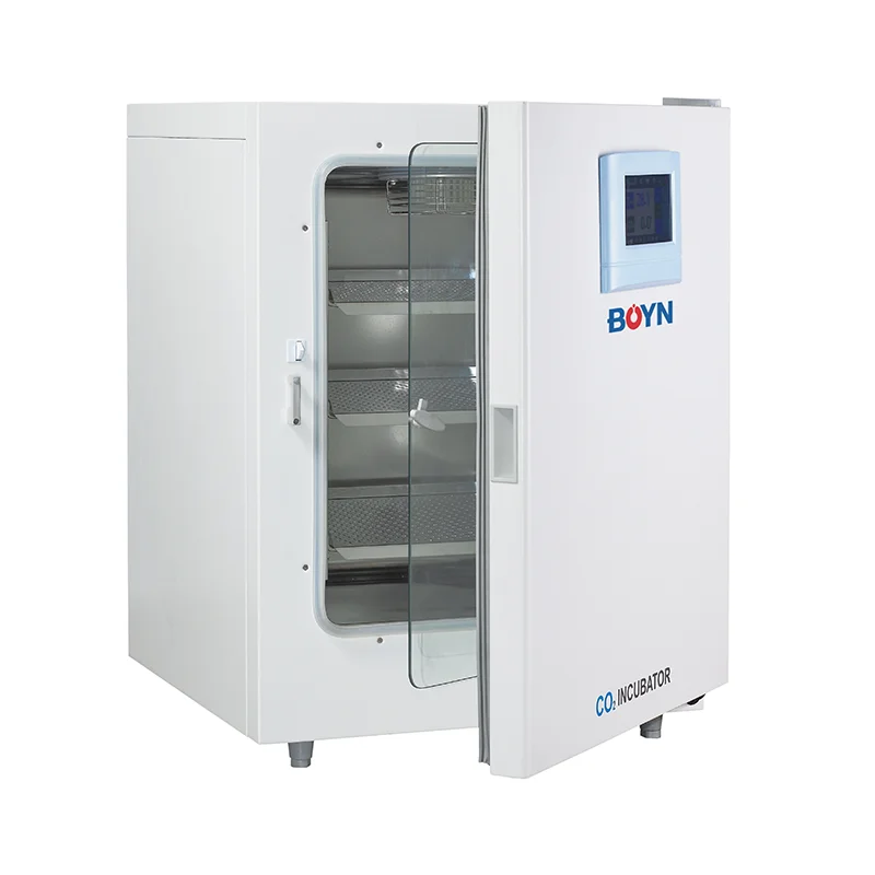 Digital CO2 Incubator for Cell – Incubator Co2 Lab recenzja i cena