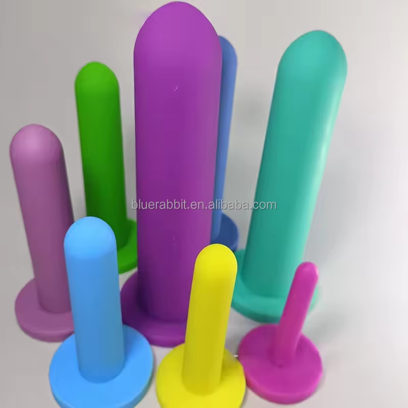 Professional Pelvic Floor Musc – Medical Lab Science recenzja i cena